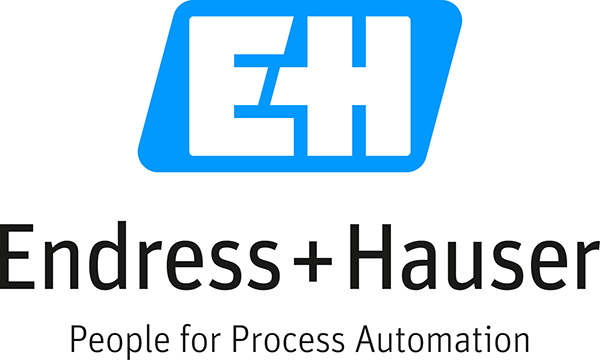 Endress & Hauser Brand Logo - High Quality OEM Automation Parts